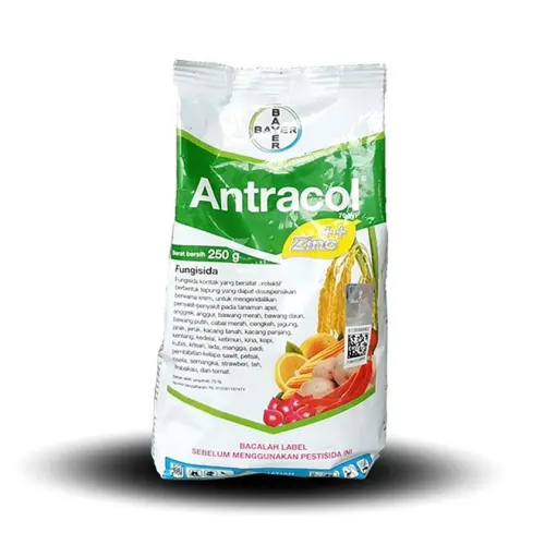 Antracol