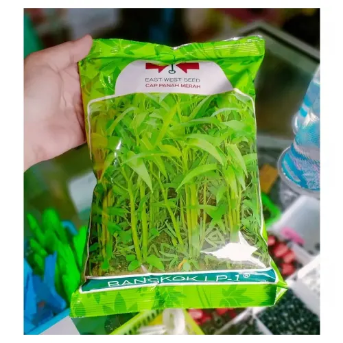Benih Kangkung