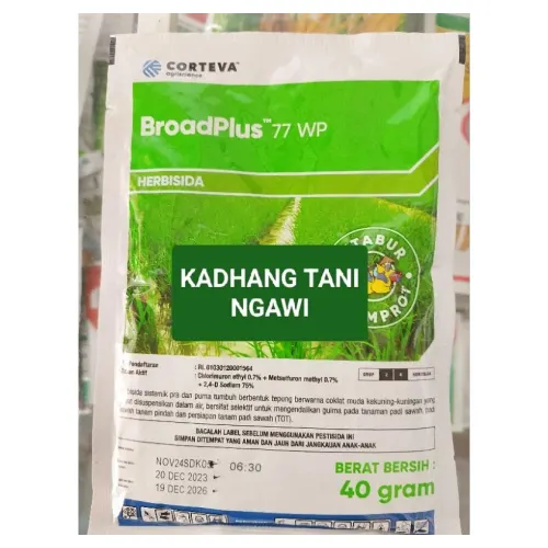 Broadplus