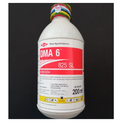 DMA 6