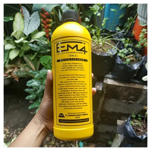 EM4