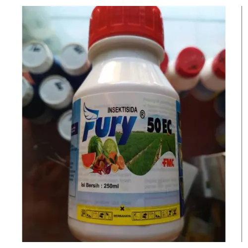 Fury