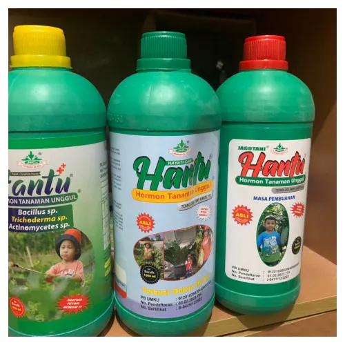 Hantu Hijau