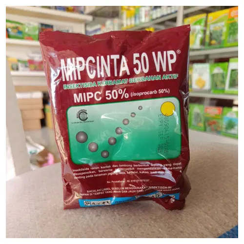 Mipcinta