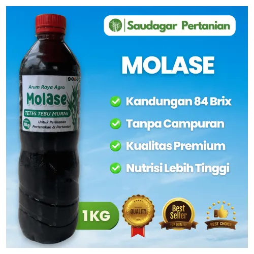 Molase