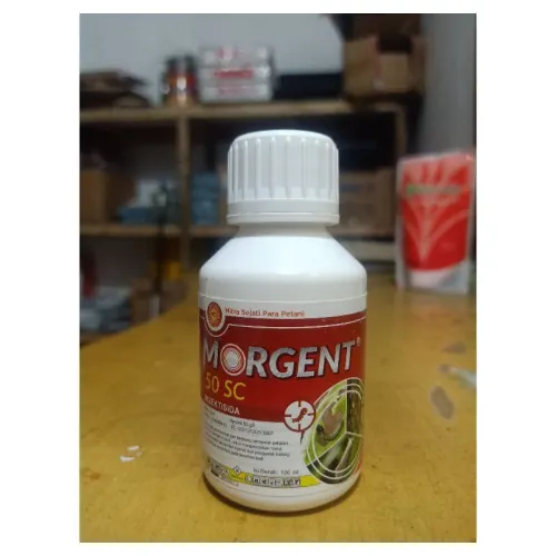 Morgent