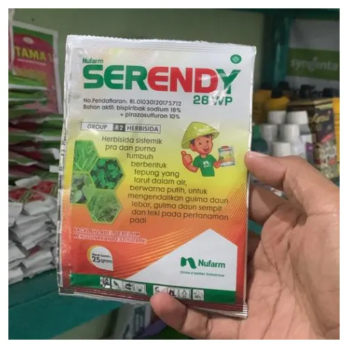 Serendy